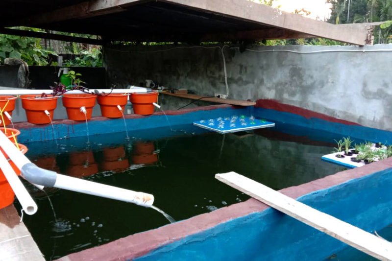 Agro-hydrocultuur in Sentani